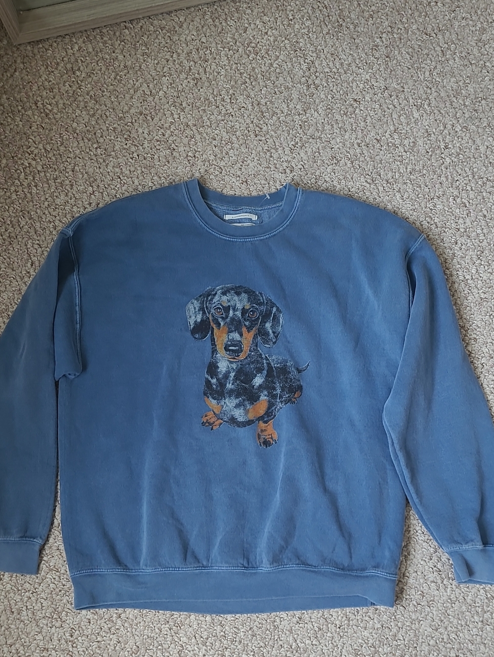 .Anthropologie Dachshund Puppy Dog Print Graphic Oversized  Sweatshirt. - Picture 5 of 7